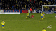GIF by Sporza
