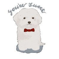 White Dog Puppy Sticker