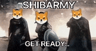 Shiba Inu GIF by SHIB MEMES