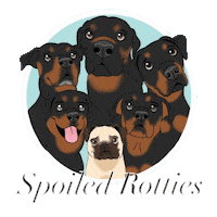Rescue Dog Sticker by MeganWargula
