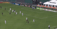 soccer mls GIF by D.C. United