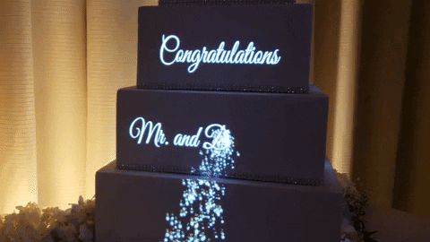 andrewquitmeyer giphyupload text GIF