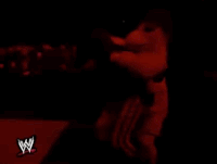 wrestlemania xv wrestling GIF by WWE