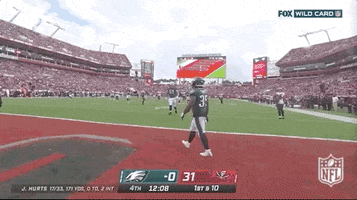 Philadelphia Eagles Football GIF by NFL