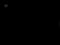 Stadtparlamentswahl sp winterthur winti liste1 GIF