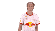 Red Bull Yes Sticker by FC Red Bull Salzburg