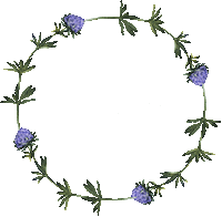 Good Morning Sticker by Launch22