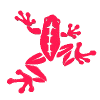 beta_outdoor_sports frog betaoutdoorsports beta outdoor sports tenaya Sticker