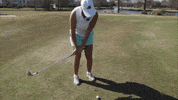 golf wave GIF by GreenWave