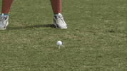 golf wave GIF by GreenWave