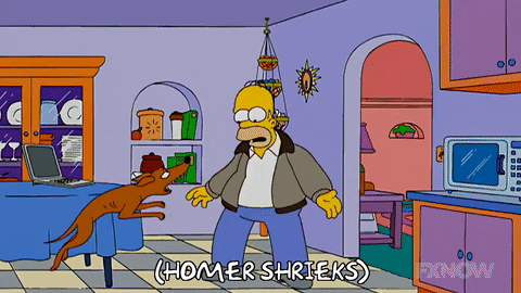 Episode 9 GIF by The Simpsons