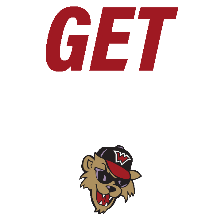 washwildthings sports baseball wild things wildthings Sticker