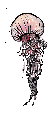 Agua Viva Ocean Sticker