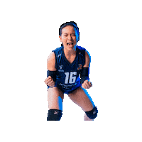 Vipers Sticker by Volleyball Victoria