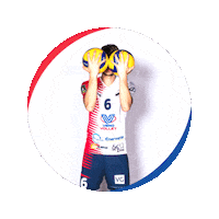 Volleyball Federici Sticker by Vero Volley Monza