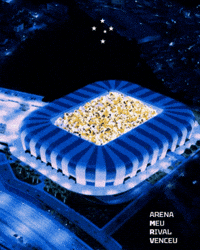 Cruzeiro Esporte Clube GIF