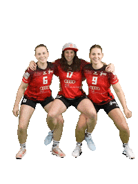 Volleyball Svf Sticker by Rotes Rudel