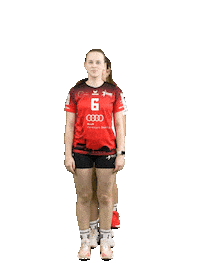 Volleyball Svf Sticker by Rotes Rudel