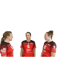 Volleyball Svf Sticker by Rotes Rudel