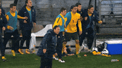 Soccer Win GIF by Football Australia