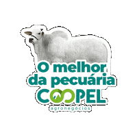 Agro Boi Sticker by Coopel Agronegócios