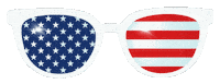 Independence Day Usa Sticker