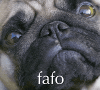 Angry Find Out GIF by Sealed With A GIF