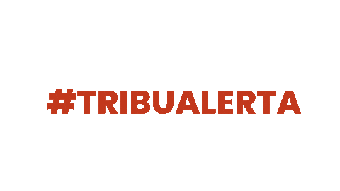 News Noticia Sticker by Business Tribe