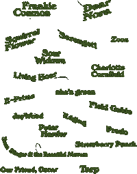 Real Love Sticker by Real Love Summer Fest