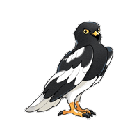 Bird 鳥 Sticker