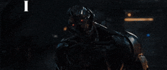 Age Of Ultron Avengers GIF