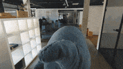 comspace walking bored office alone GIF