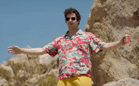 Andy Samberg Movie GIF by The Lonely Island