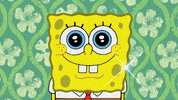 GIF by SpongeBob SquarePants