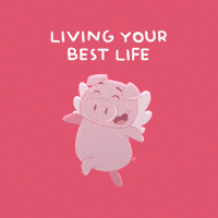 Happy Flying Pig GIF by PositivelyPigasus
