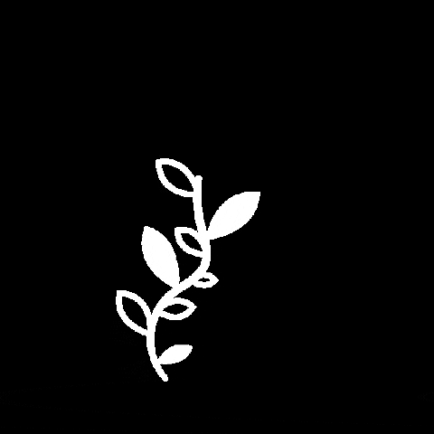 ByMabbi giphygifmaker white flower leaf GIF