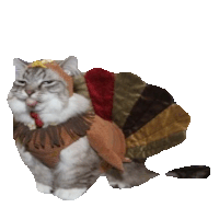 thanksgiving STICKER by imoji