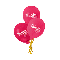 Celebration Agency Sticker by Telaio MX