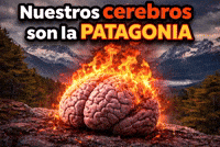 Patagonia GIF