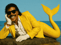 Awkward What The GIF by Jukebox Saints