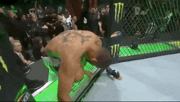 ufc 239 sport GIF by UFC