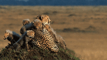 family sitting GIF