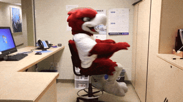 RiponCollege fall bird spin bored GIF