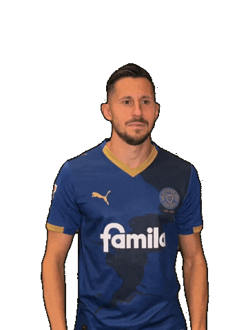 2 Bundesliga Celebration Sticker by Holstein Kiel