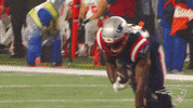 Excited Lets Go GIF by New England Patriots