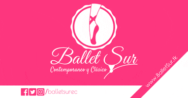 balletenquito GIF by Ballet Sur