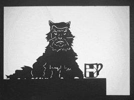 falenabalena cats black and white trump hillary GIF