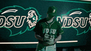 Ndsu Baseball GIF by NDSU Athletics