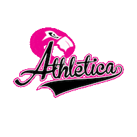 Oshawa Athletica Sticker by F45 Pickering