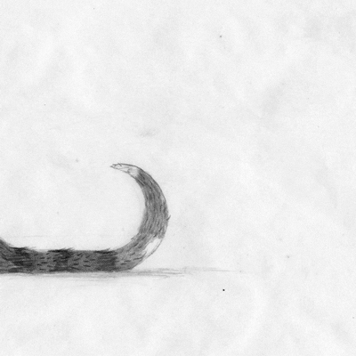 miranda pfeiffer GIF by Miranda Javid